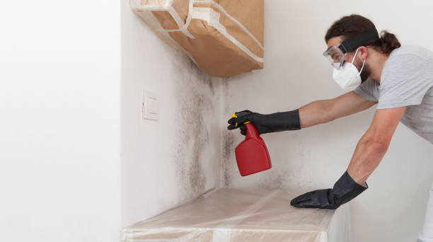 Professional Bathroom Mold Removal technician working in Lincoln, MA