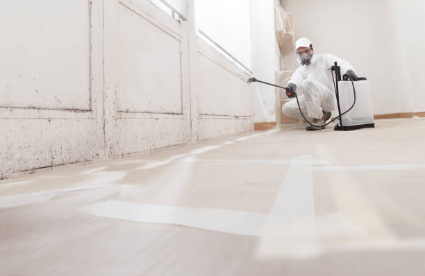 24/7 Emergency Bathroom Mold Removal experts in Lincoln, MA