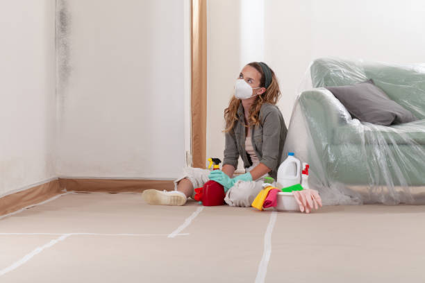 Reliable Bathroom Mold Removal contractor in Lincoln, MA by WQB Mold Removal